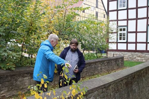 Brücke über ehemaligen Burggraben