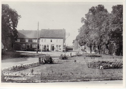 Image: Pferdemarkt-04