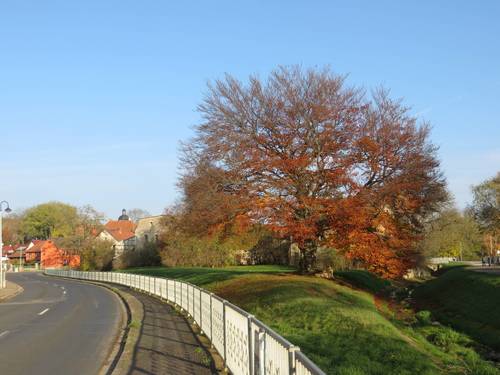 Westeingang von Schlotheim (Sorge) mit Kloster am 13.11.2016